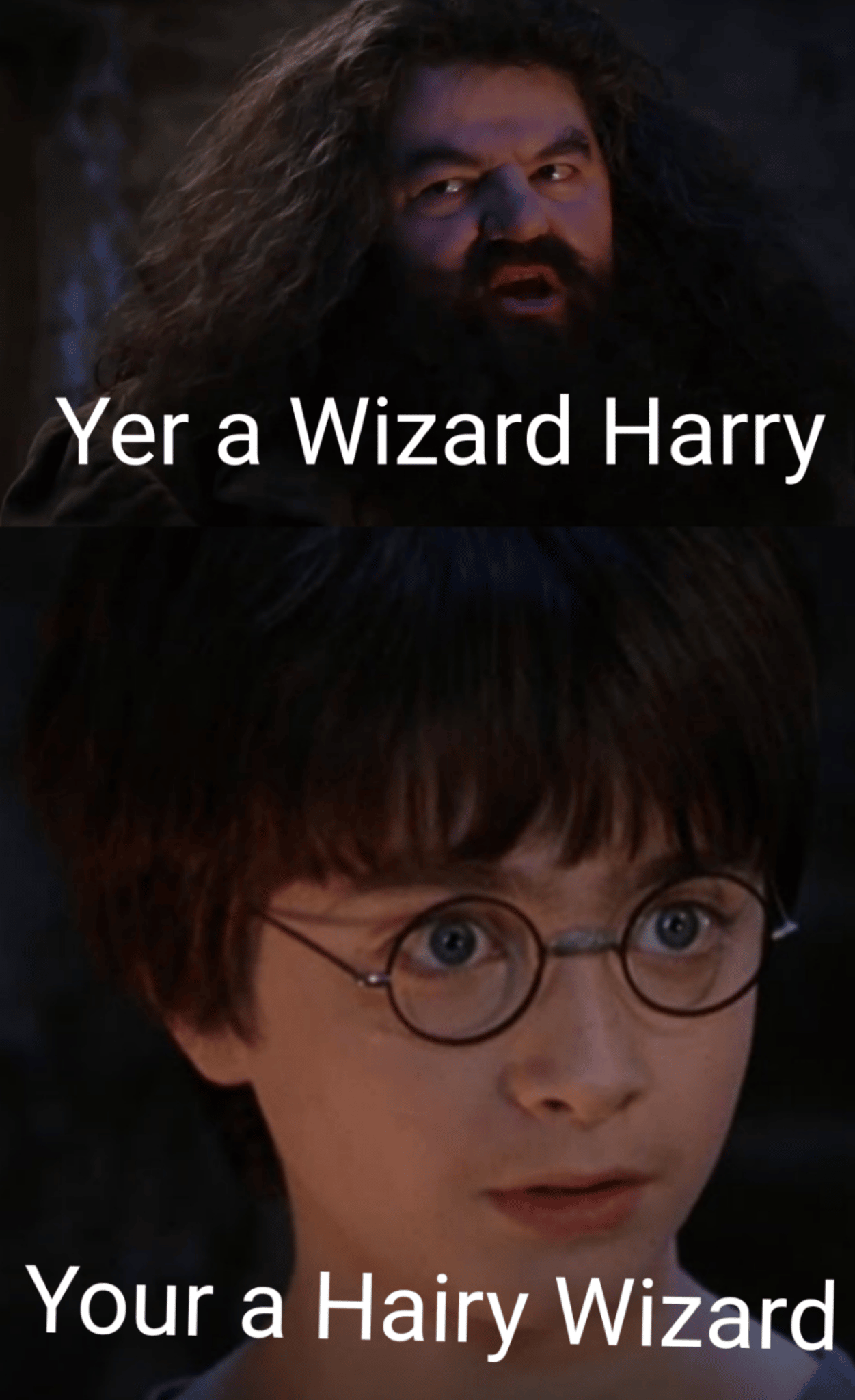 Under Hagrid's face, text reads, "Yer a Wizard Harry." Under Harry's face, text reads "Your a Hairy Wizard"
