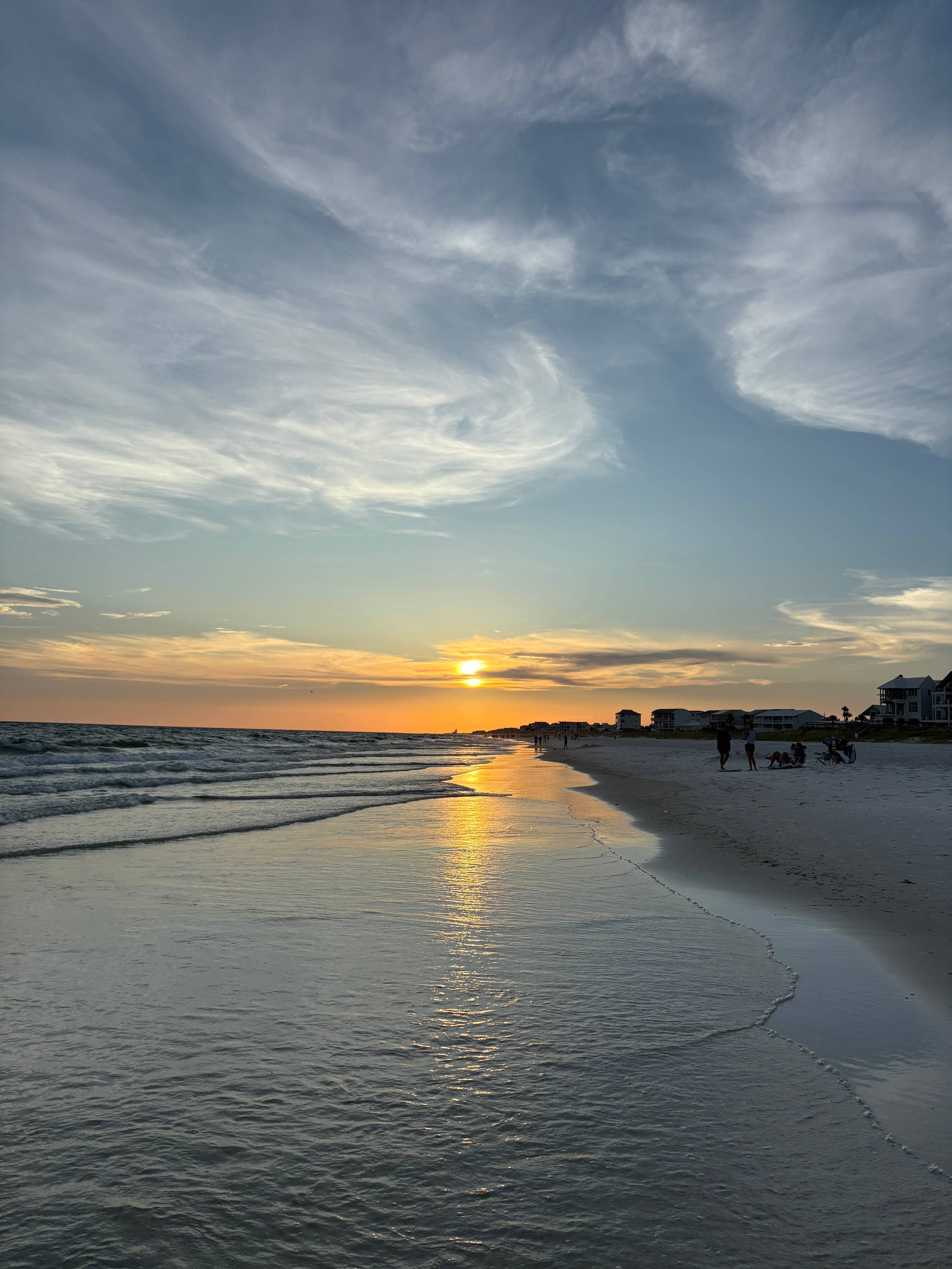A Free Gift From the Beach 