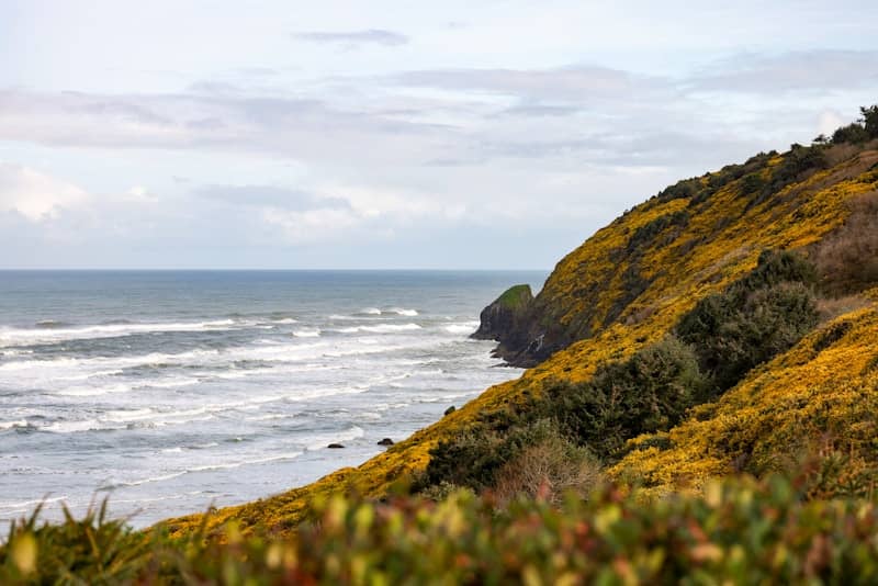 Ocean waves crash against a hillside.