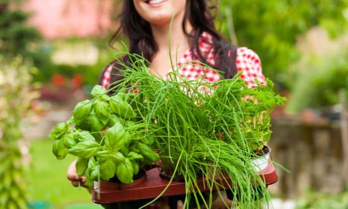 lady with a basket full of vegetables