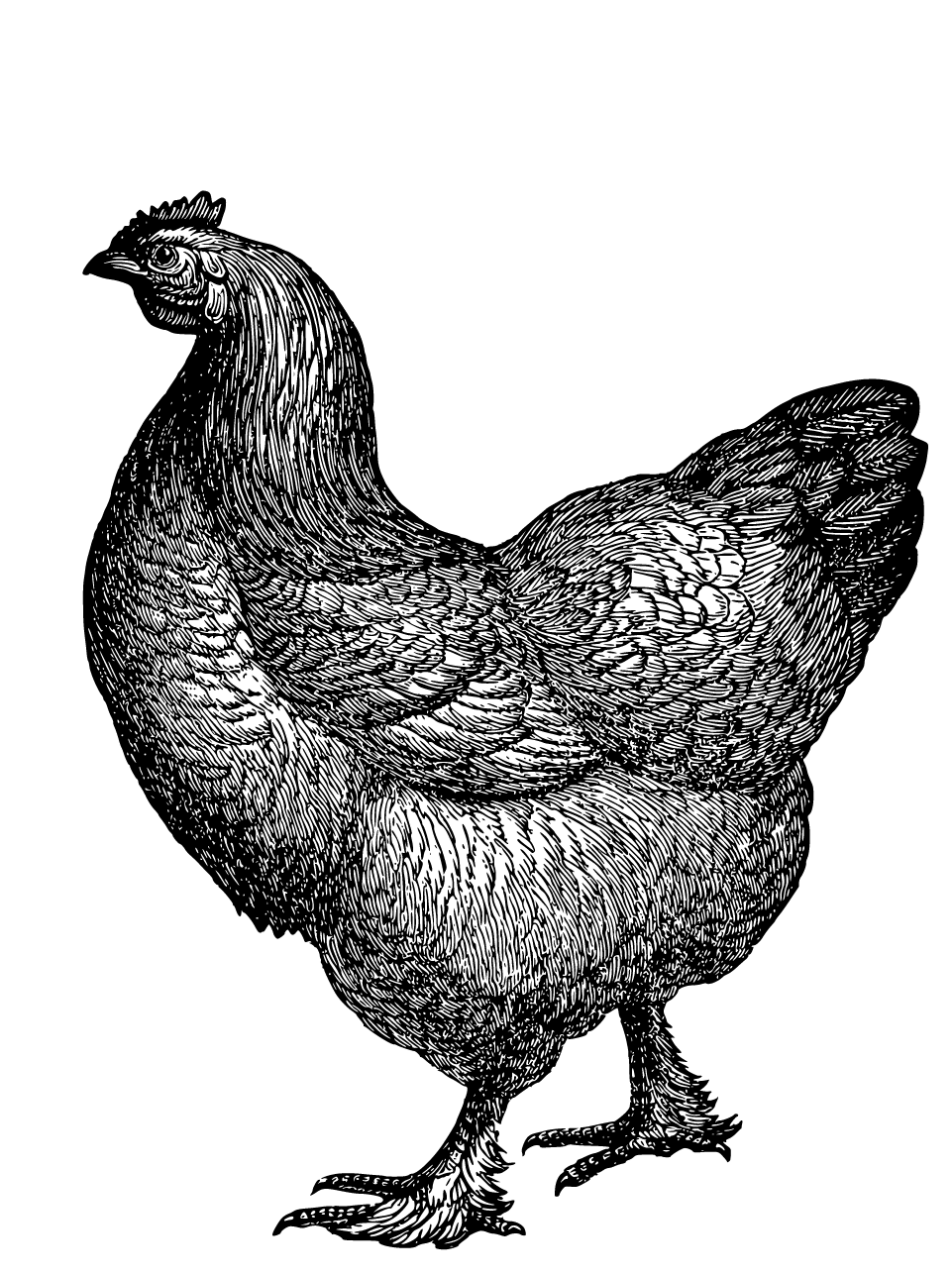 Geosmin Regenerative photo 6