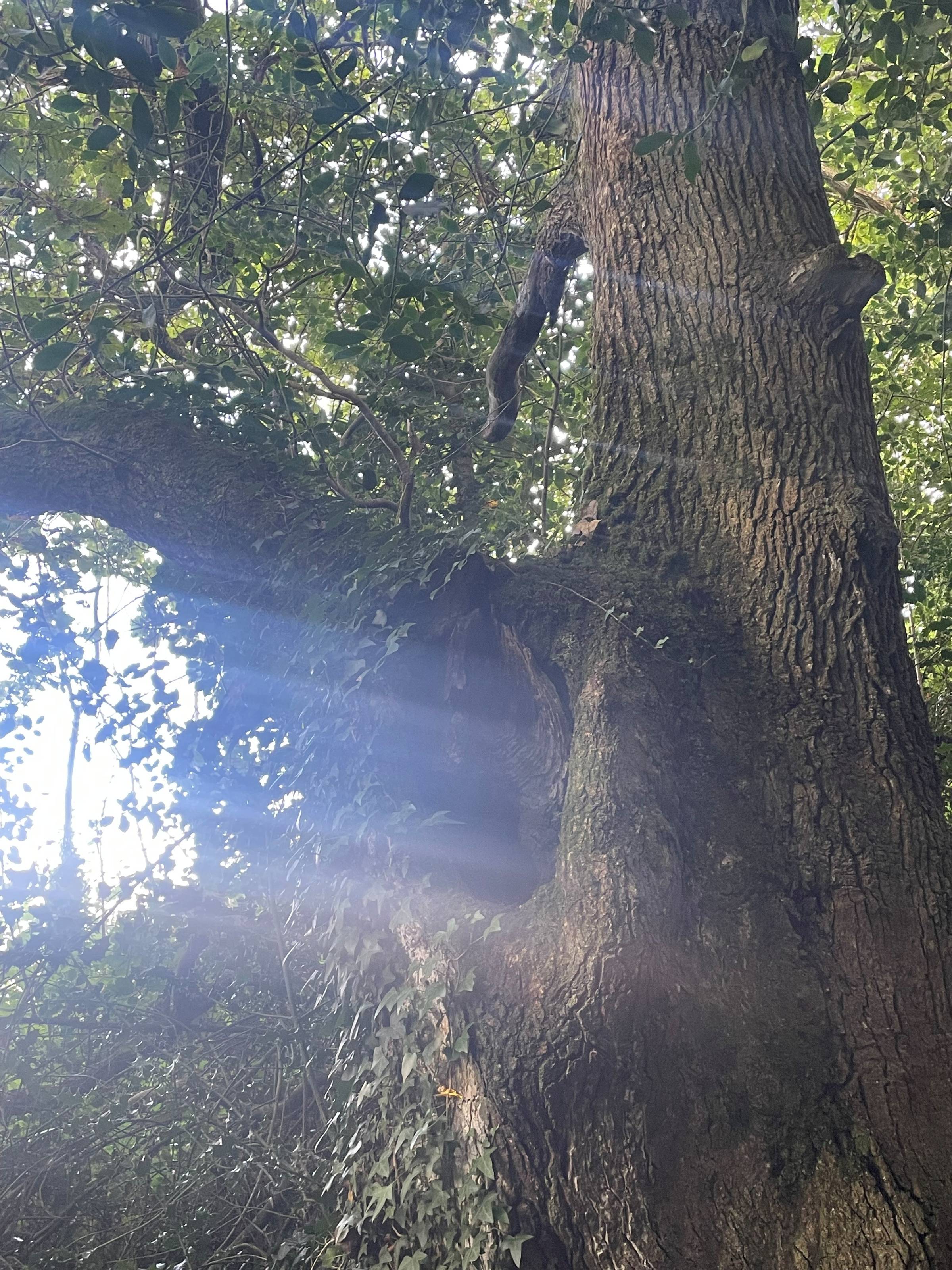 When Everything Changes: Choose What Matters 7 Day Guided Programme