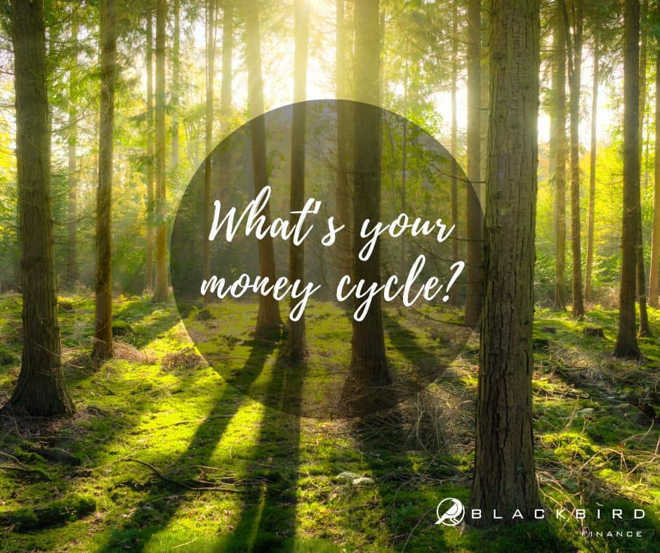 BlackBird Finance Newsletter: Monthly Money Digest: Your Money, Your Goals, Your Adventure