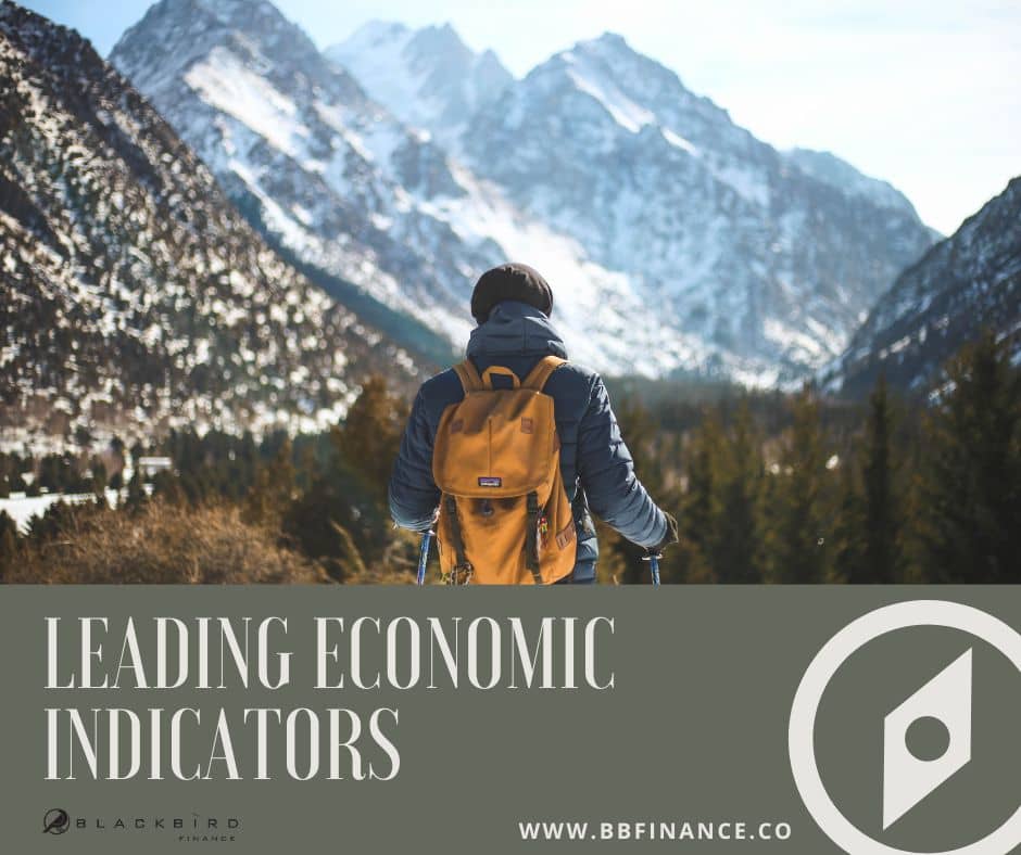 BlackBird Finance Newsletter