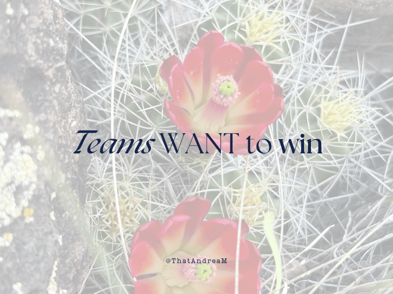 Flowering desert cactus with the words, Teams want to win.