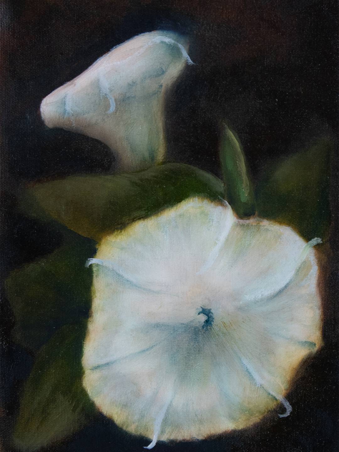 oil painting of luminous moon flowers glowing against a dark background