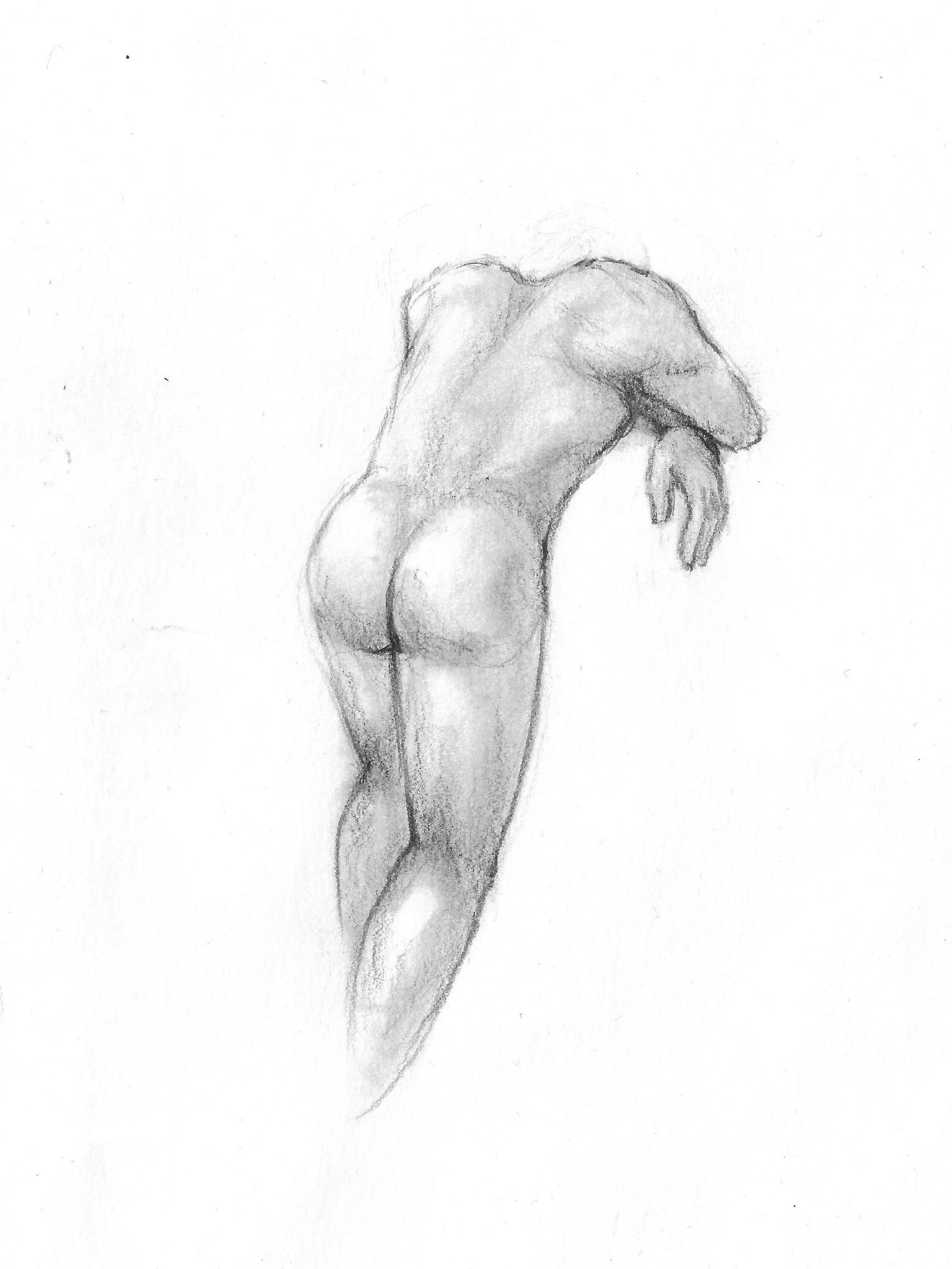 drawing of nude male from behind
