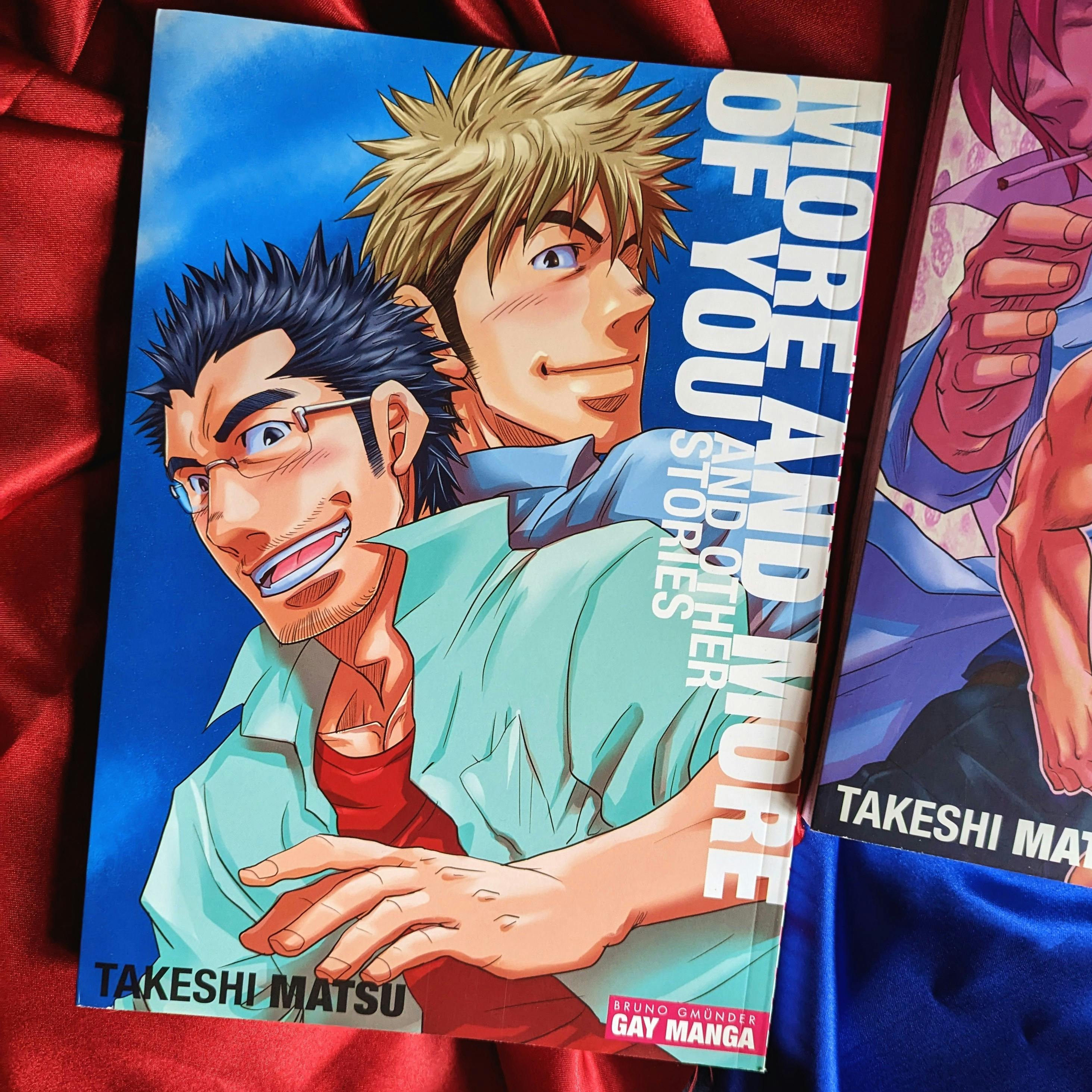 cover of More and More of Your and Other Stoires, show two happy, gay hunky dudess