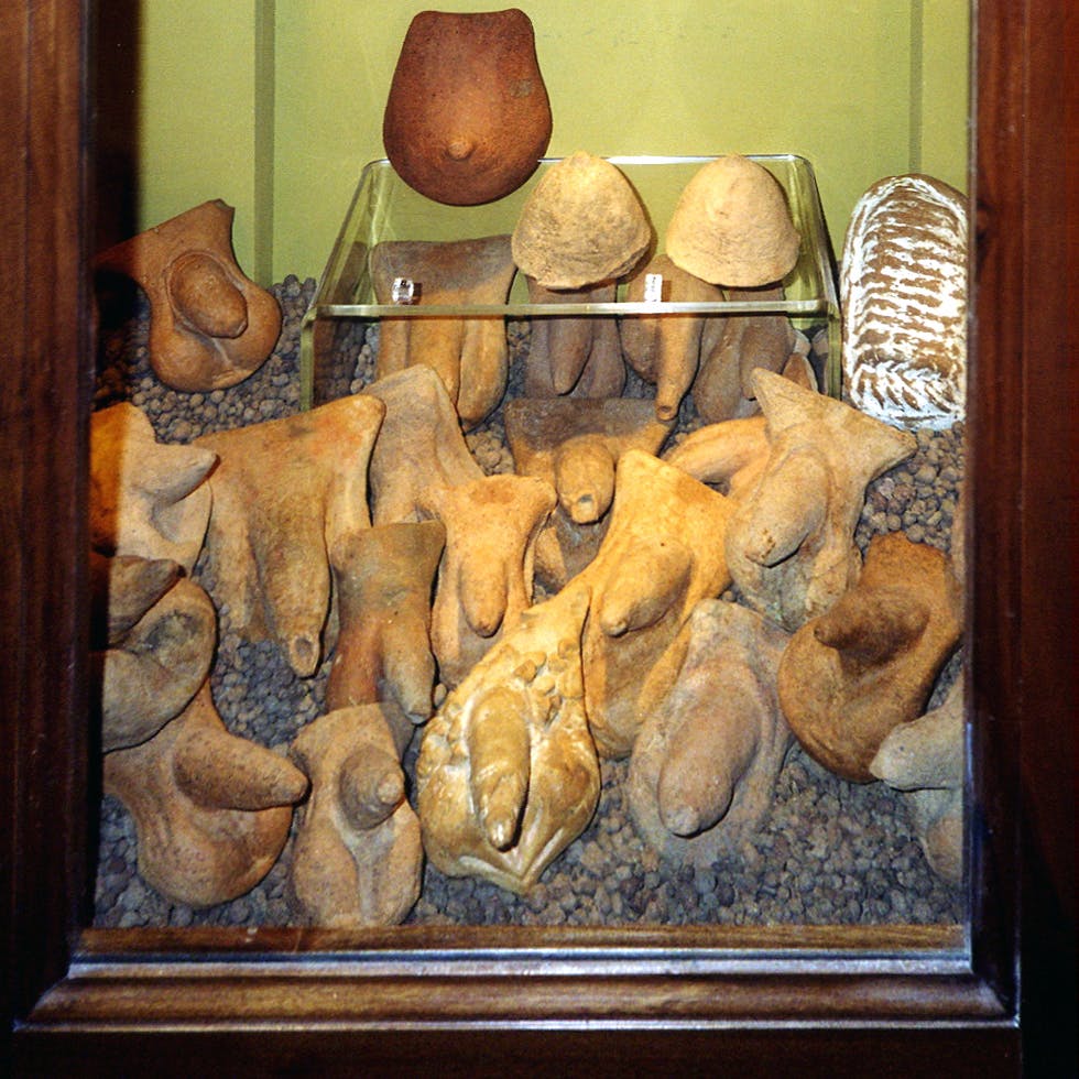 a display cabinet full of terracotta penises