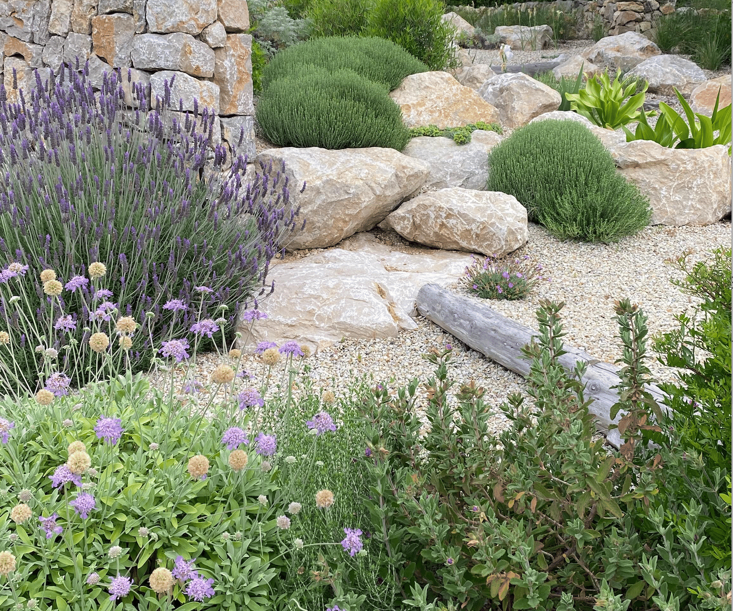 Summer is Here: A Season of Abundance - Art Garden Design Uncategorized