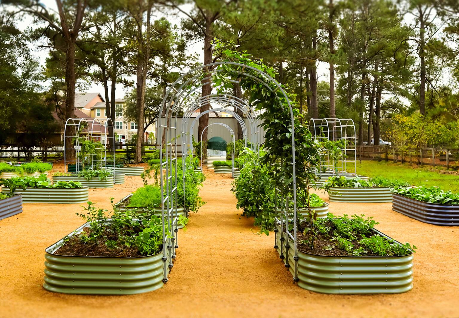 In times like these, what CAN WE CONTROL? - Art Garden Design blog