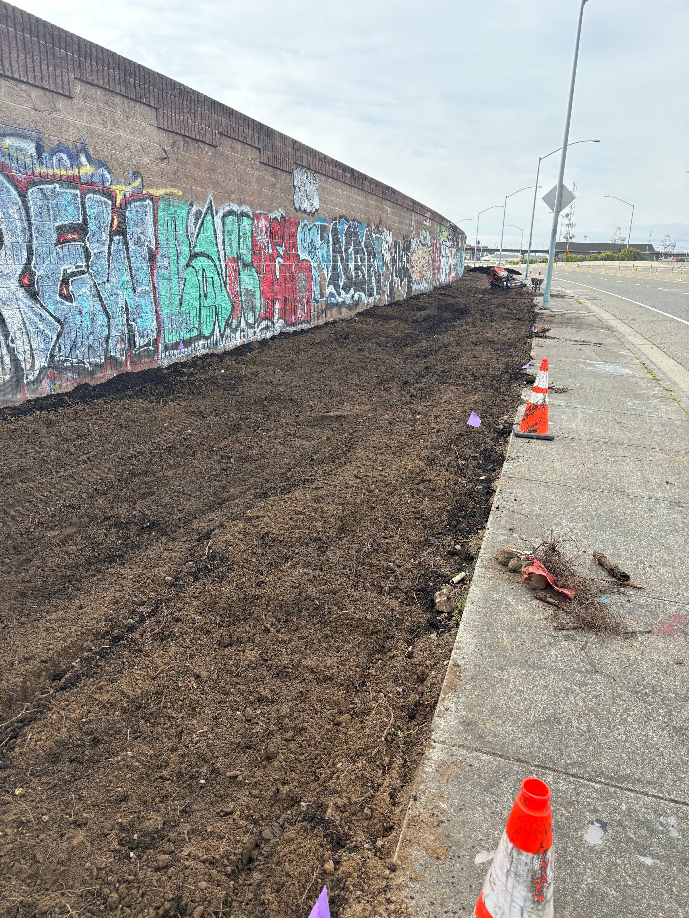 HOT OFF THE PRESS: Read the Oaklandside Article about our work in West Oakland - Art Garden Design blog