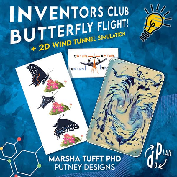 Butterfly Flight + 2D Wind Tunnel