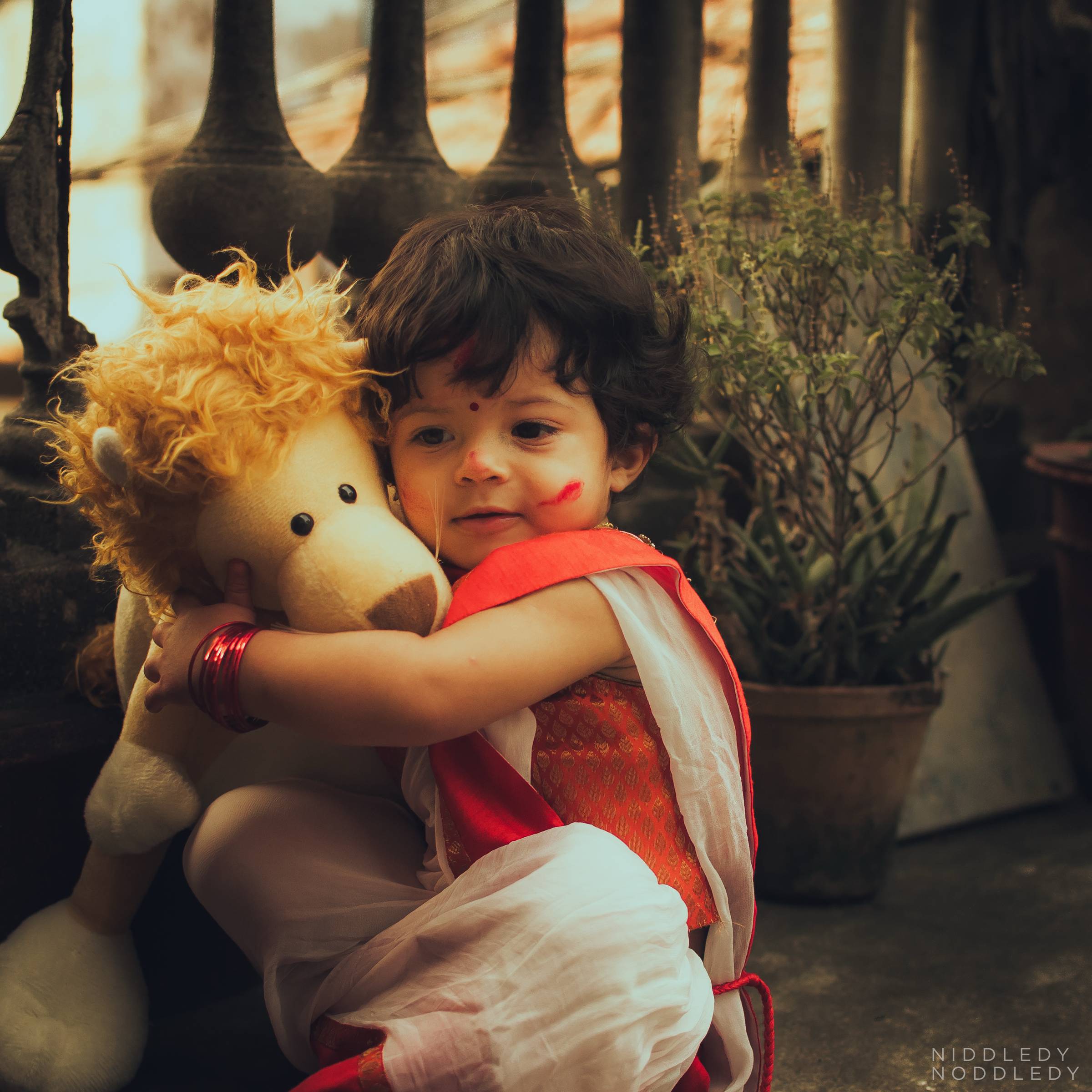 Niddledy Noddledy Arya Lion Durga Puja