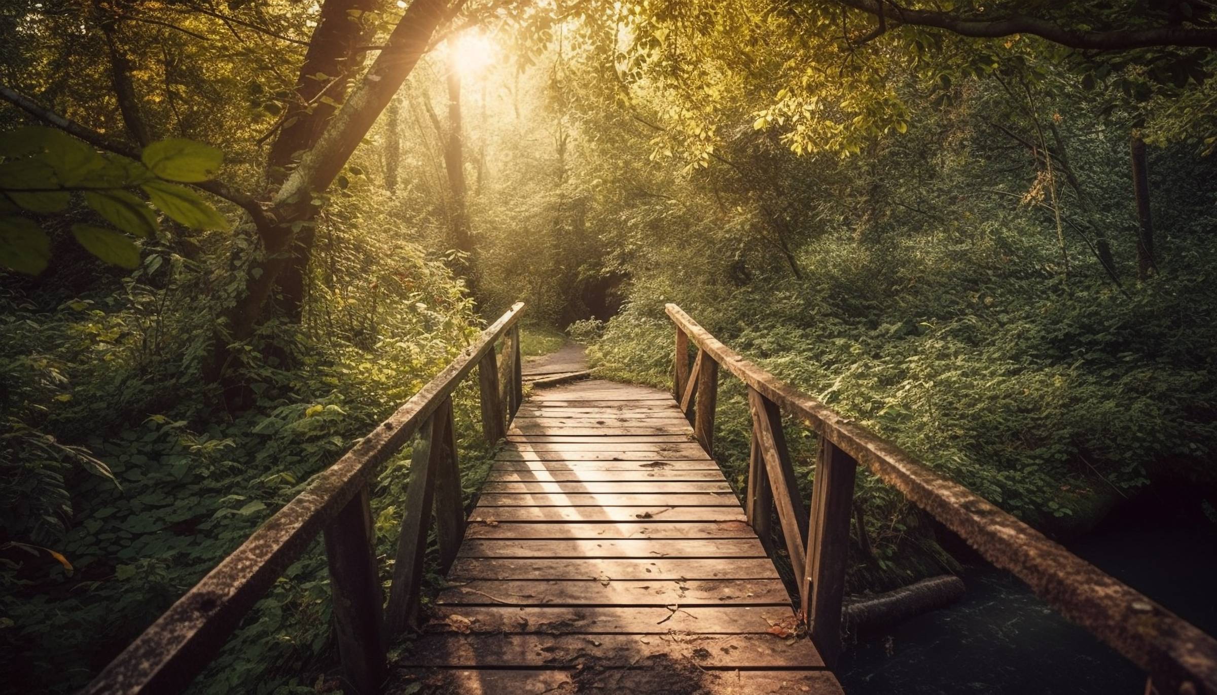 worn wooden bridge path into the forest