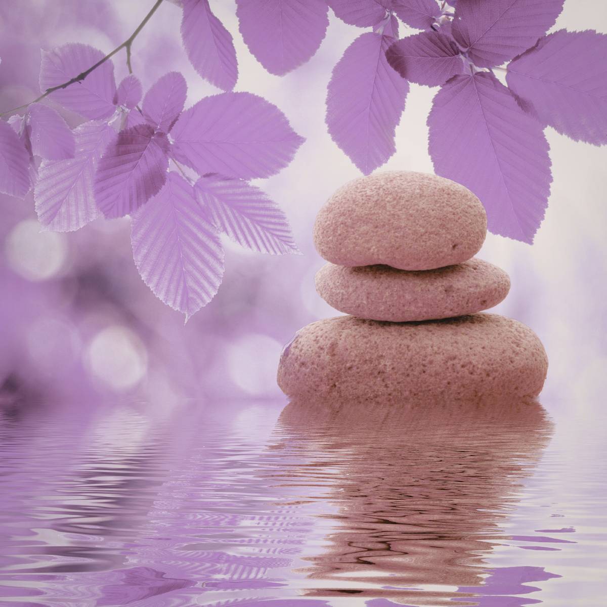 3 stacked stones in still water with lilac leaves surrounding the border