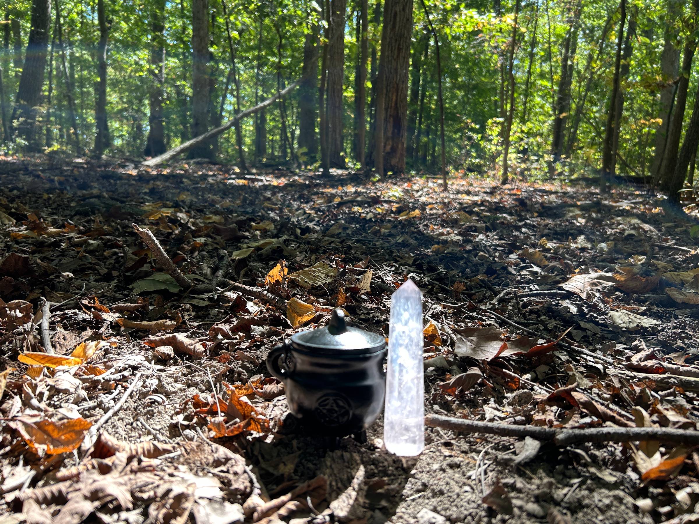 A small cast-iron cauldron and a white crystal sit on the forest floor. The sun is shining through the trees and making the crystal glow.