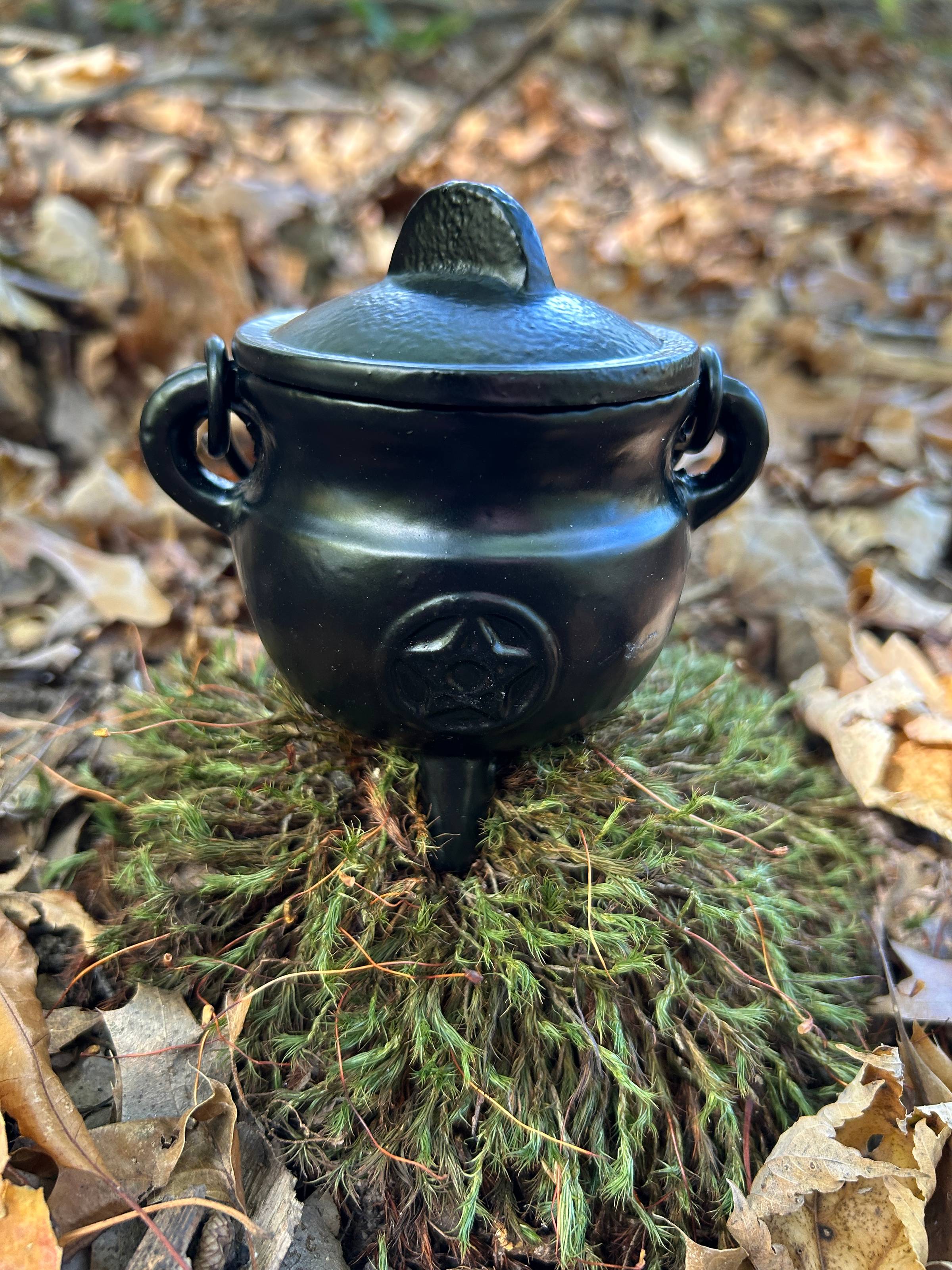 A small cast-iron cauldron sits on a patch of green moss amid the fallen leaves.
