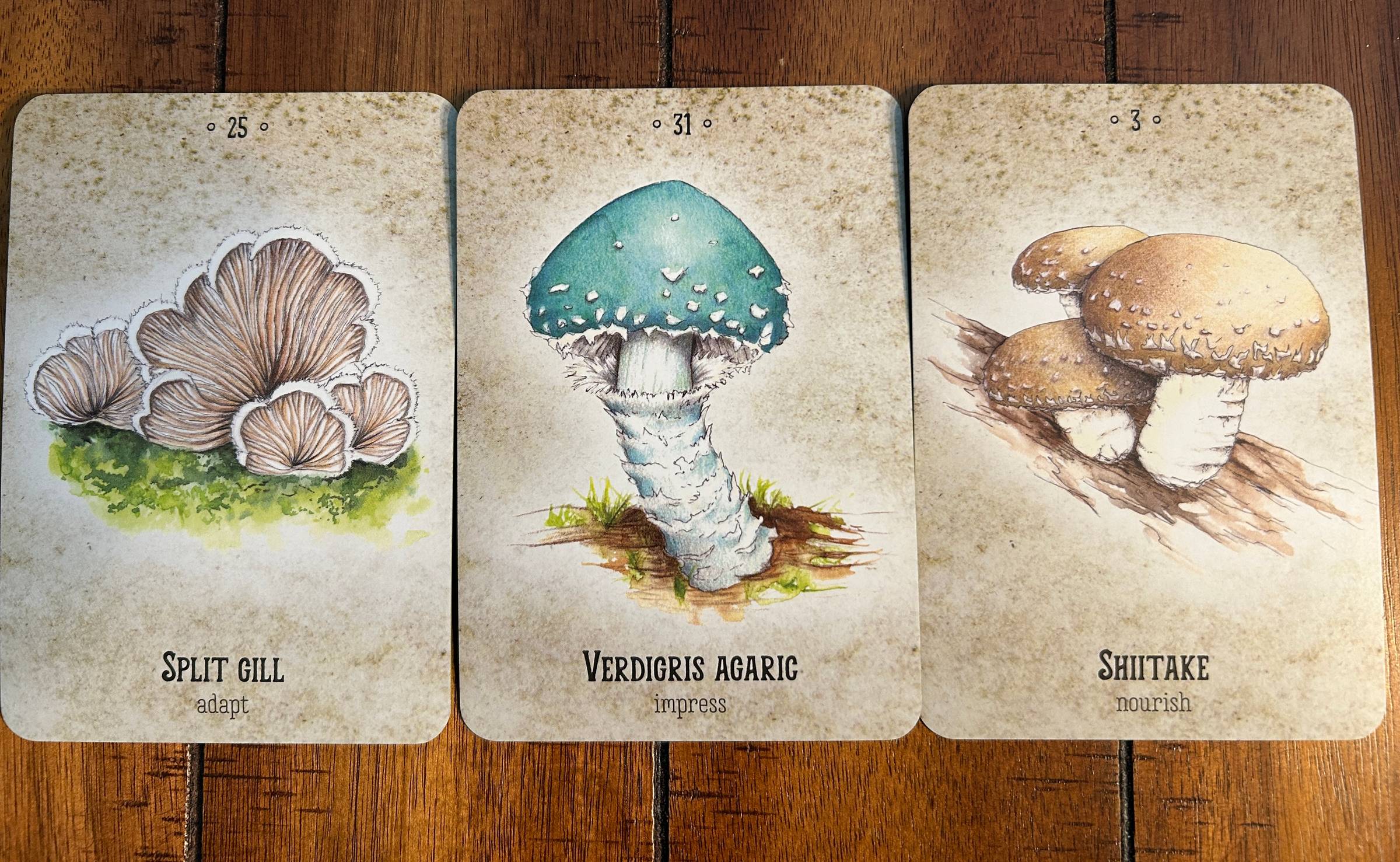 An image of 3 oracle cards featuring illustrations of the Split Gill, Verdigris Agaric, and Shiitake mushrooms