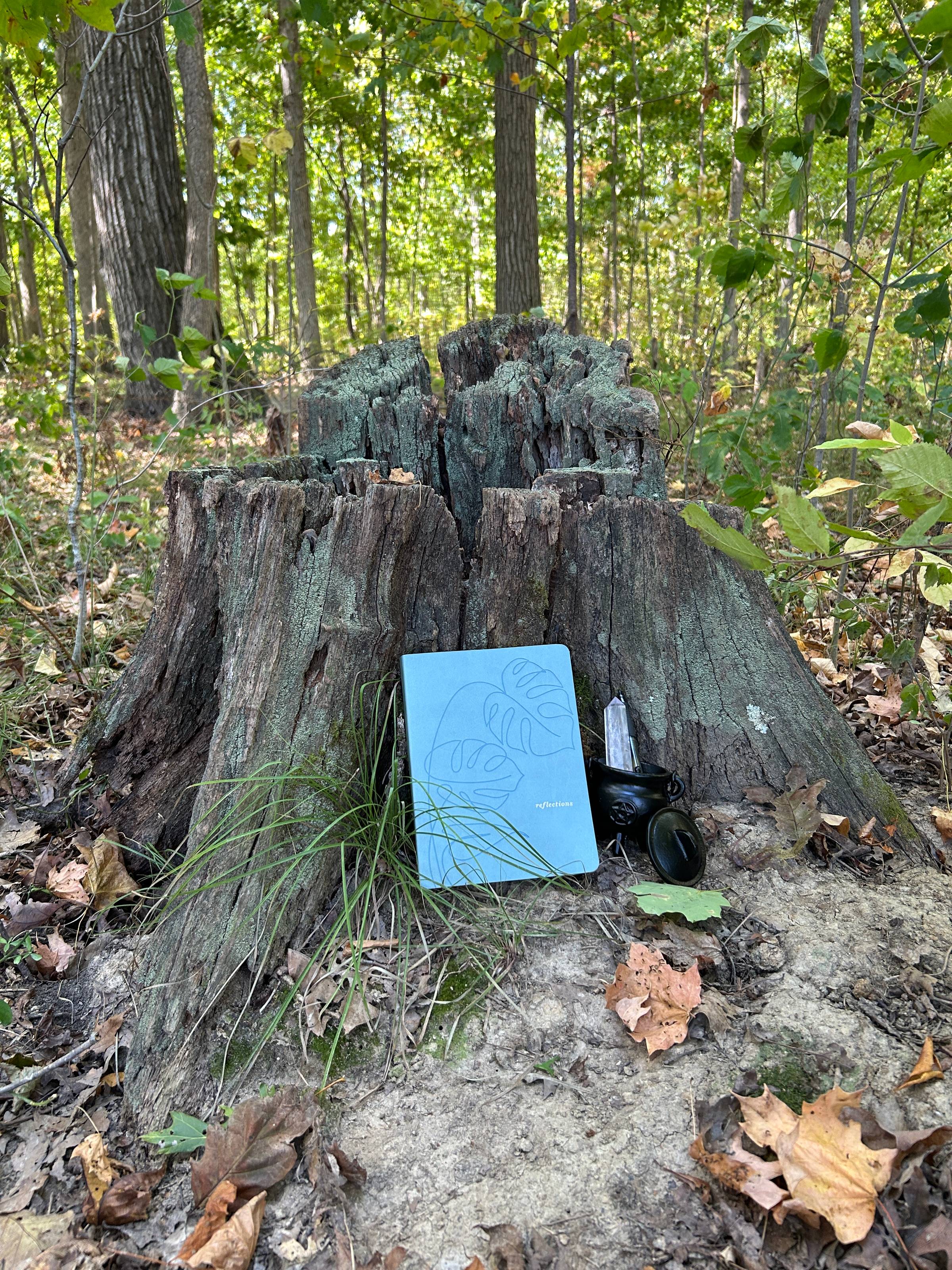 A journal, small cast-iron cauldron, crystal, and pen are leaning up against a mossy tree stump in the woods.