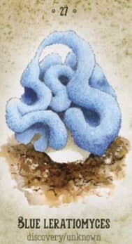 An illustration of a strange blue mushroom with a strange twisting series of tubes in place of a traditional mushroom cap