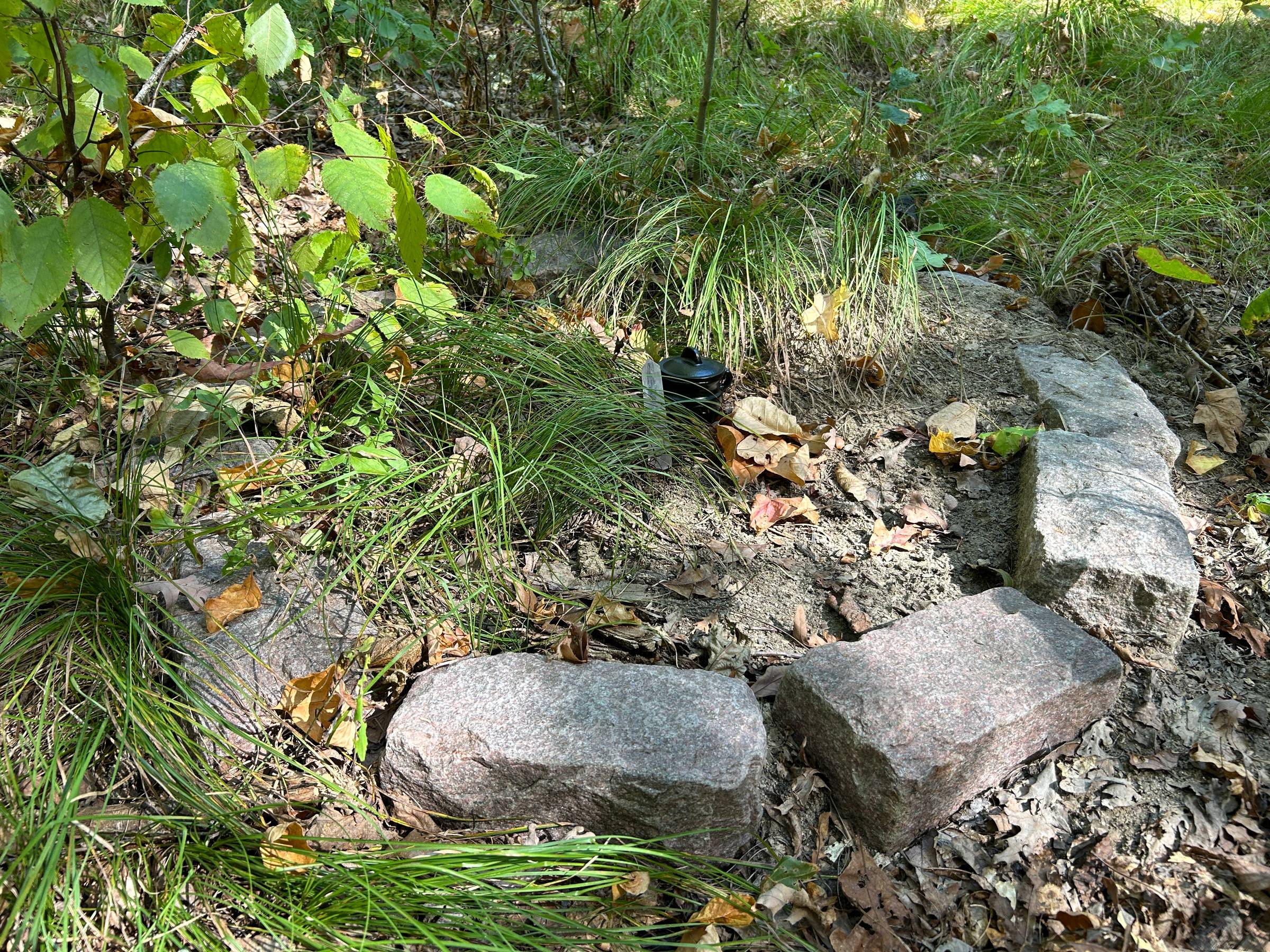 A picture of a small cast-iron cauldron and a crystal sitting in the center of an overgrown firepite, deep in the woods.