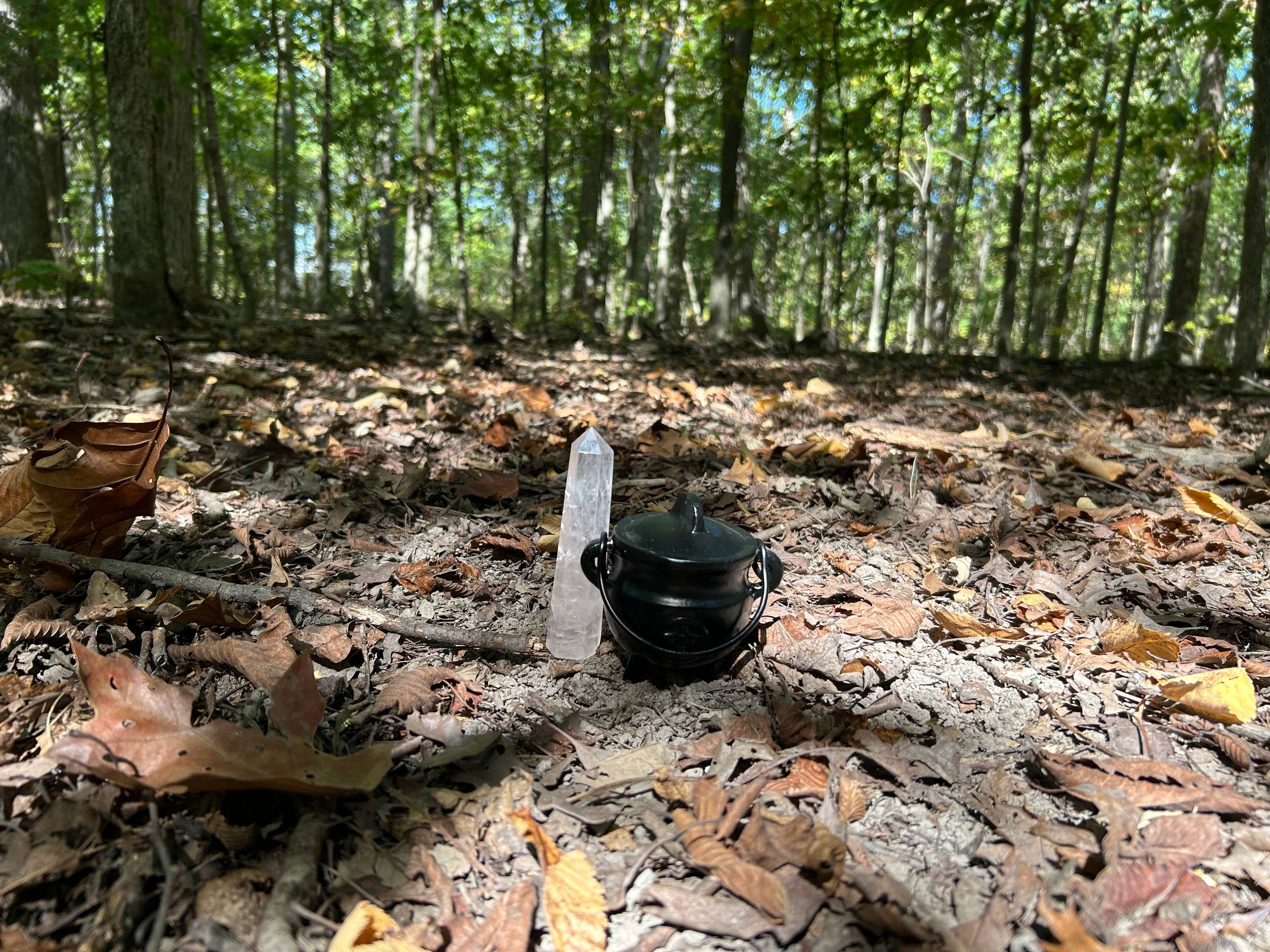 A picture of a small cast-iron cauldron and a crystal sitting among fallen leaves in the wods.