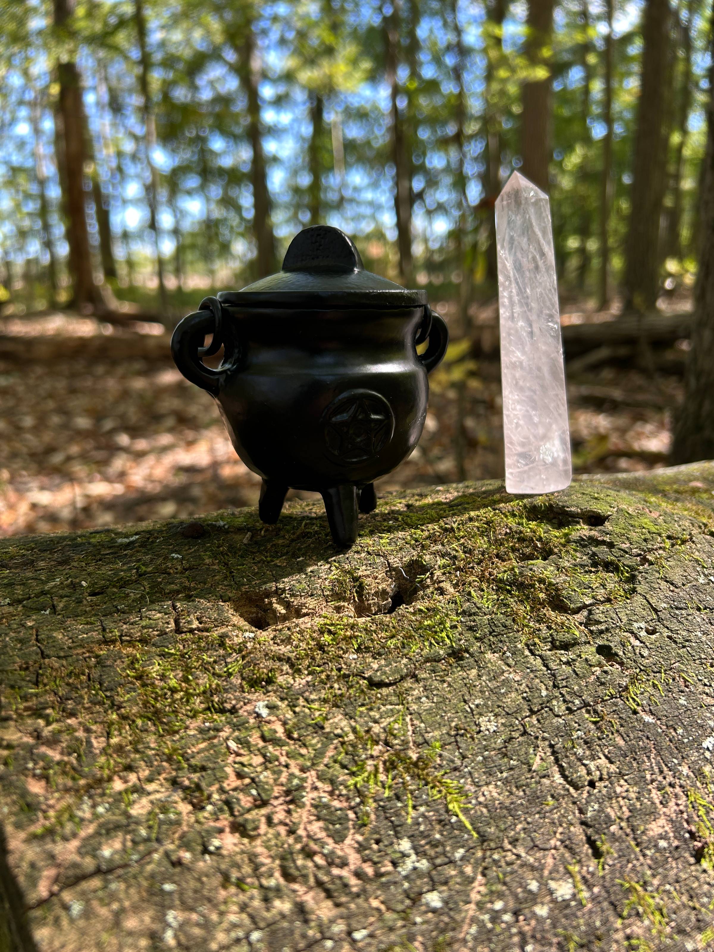 A small cast-iron cauldron and a crystal sit next to each other on a mossy log.