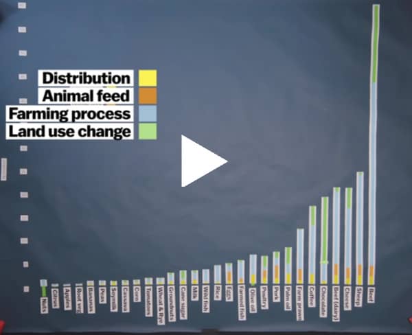 Food & Greenhouse gas emissions