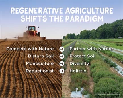 Conventional farming vs regenerative agriculture