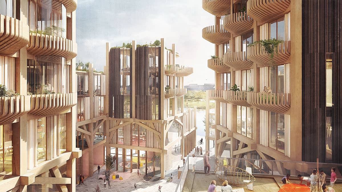 mass timber city