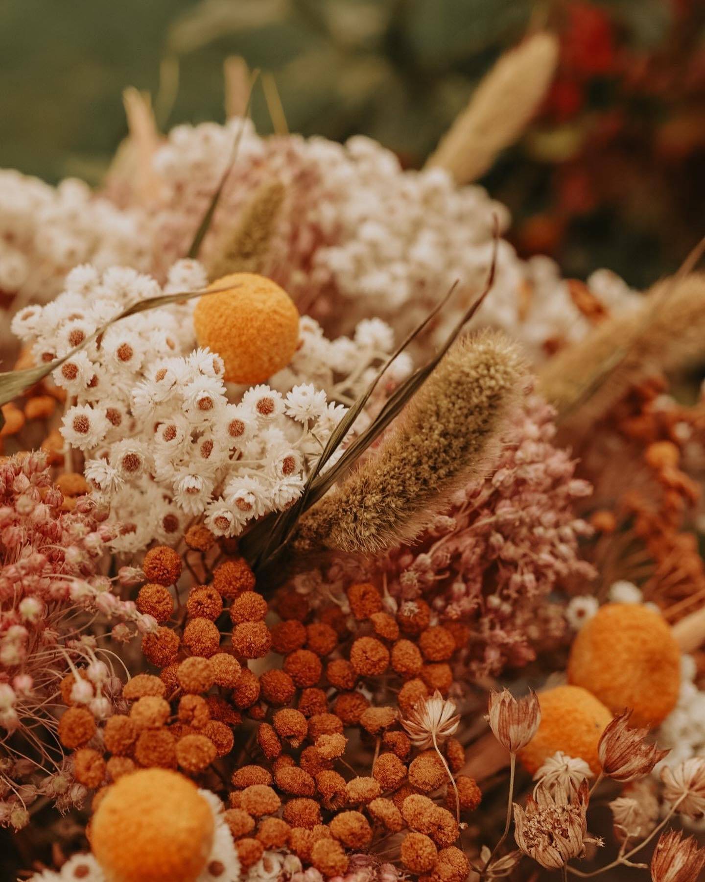 Vad har du för relation till torkade blommor?

För mig för de minnena till torkade rosenbuketter ovanför vitrinskåpet i köket i mitt barndomshem.

Så med en varm känsla i kroppen får den här snabbt ihopslängda buketten flytta in så vi kan njuta av den dova färgprakten. 
Lite som att stanna tiden nästan.

Jag måste plantera lite mer blommor för att torka nästa år känner jag! 
Har du något tips på fina sorter? 

 #evergreengardenpunktse #garden #flowers #gardendecorations #trädgårdsdekorationer #torkadeblommor #driedflowersbouquet