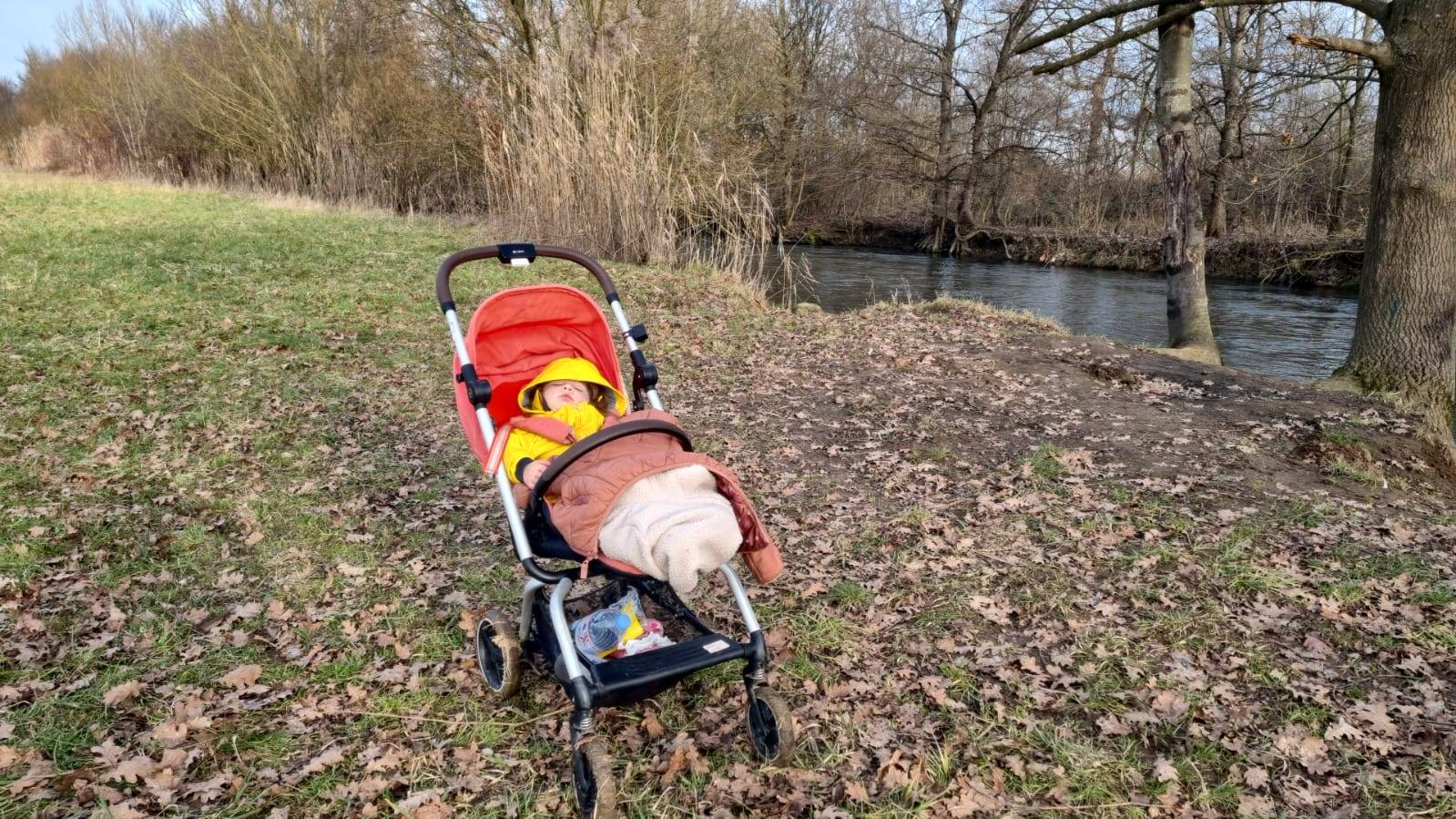 Cleo napping on the side of the river