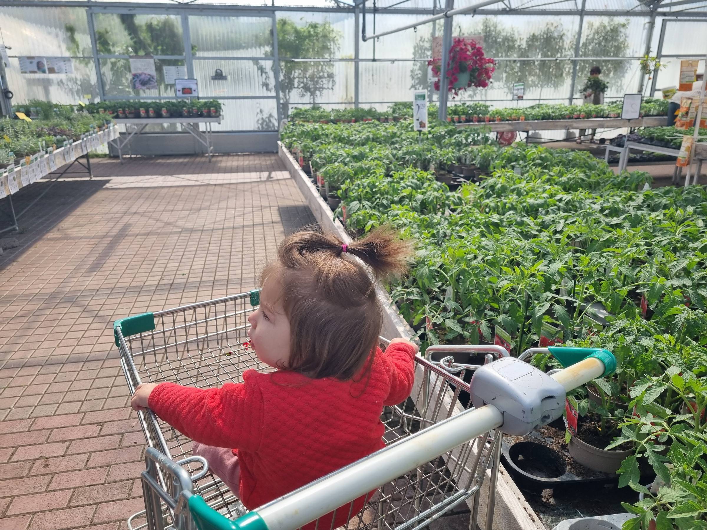 Shopping for roots