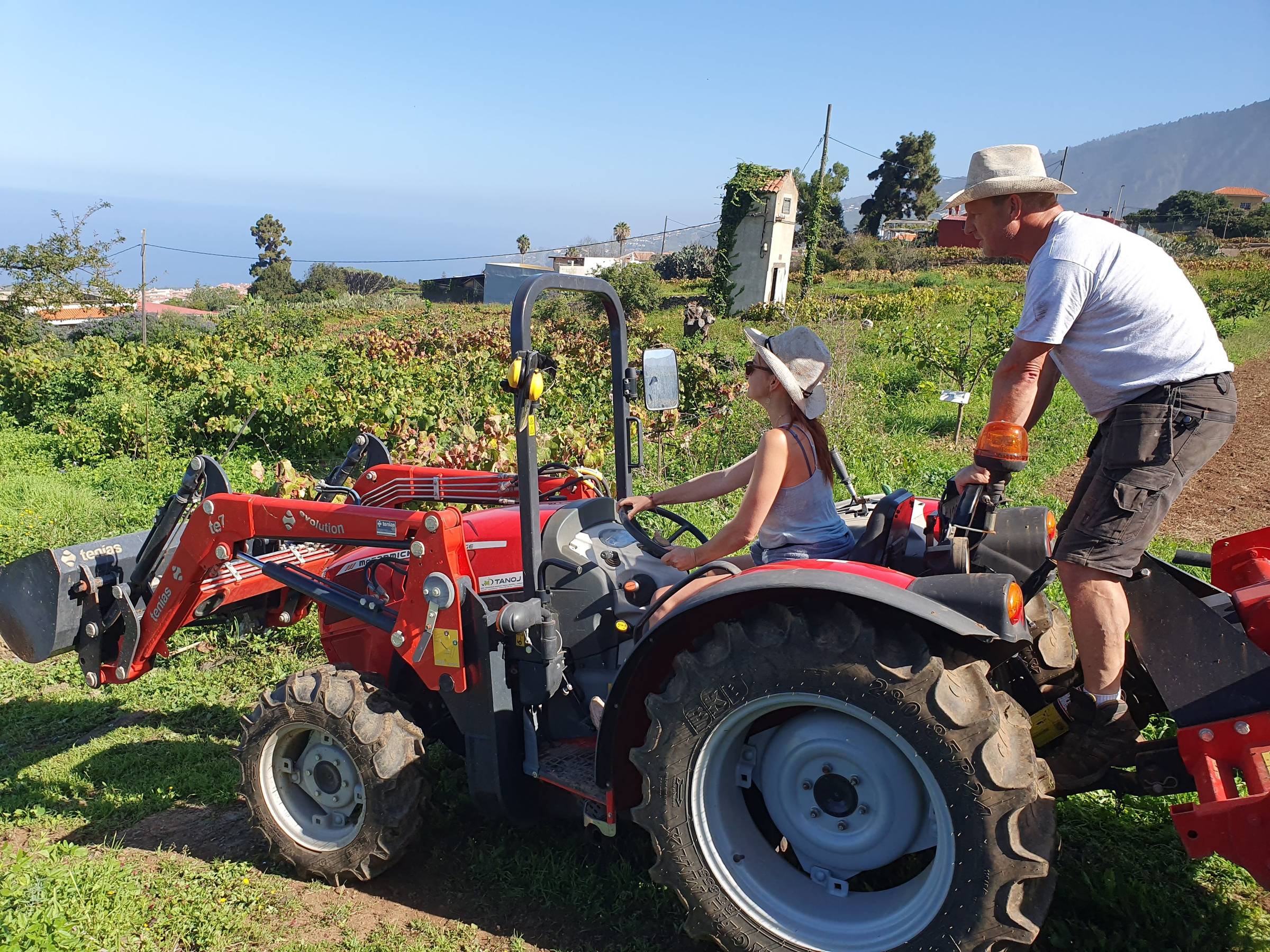 Our friend showing Aurélie how to drive his fancy tractor 