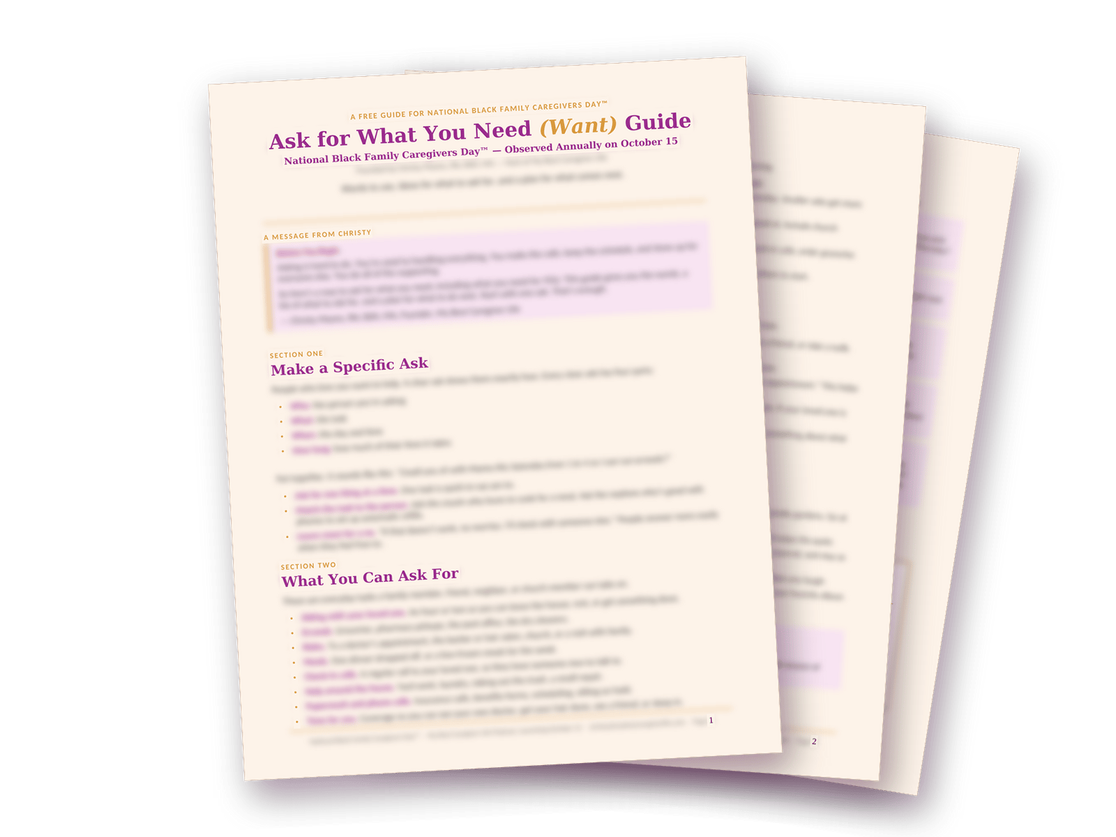 A semi-blurred image of the Ask for What You Need (Want) Guide
