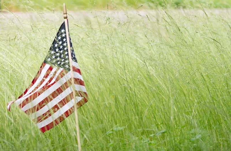 A small american flag stands in tall green grass.