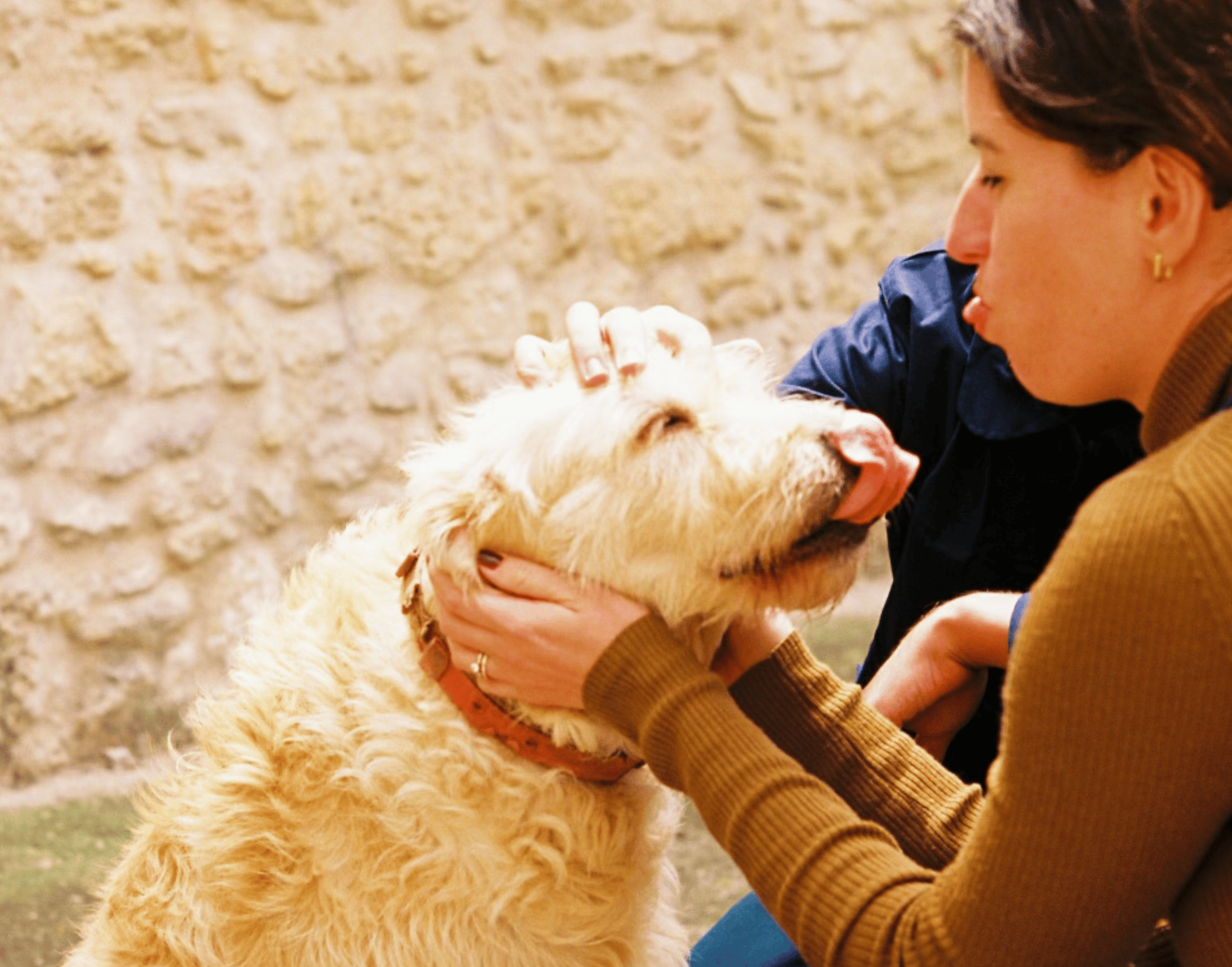 Girl pulling silly face with a beautiful shaggy dog in France.