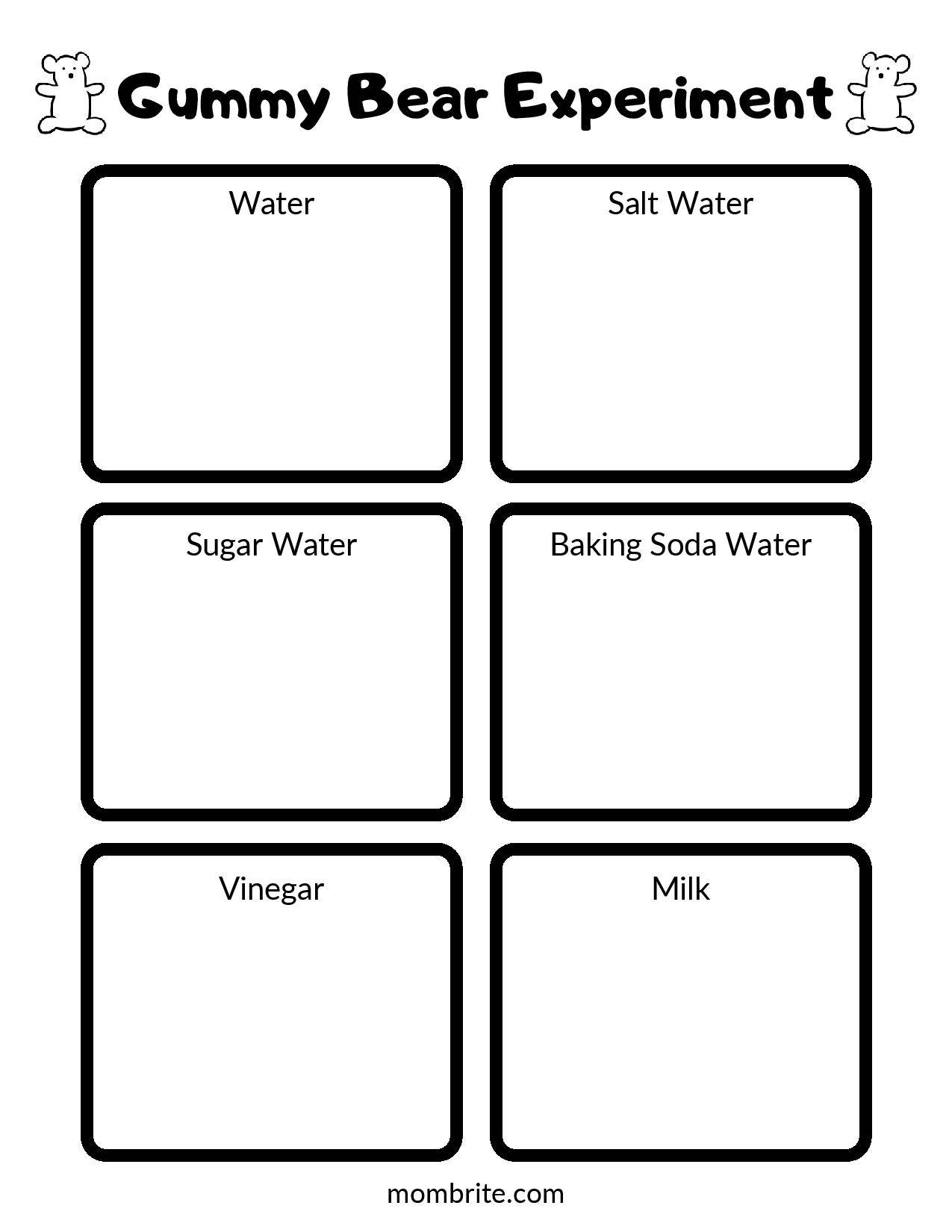 Gummy Bear Science Fair Experiment Worksheet Printable PDF 