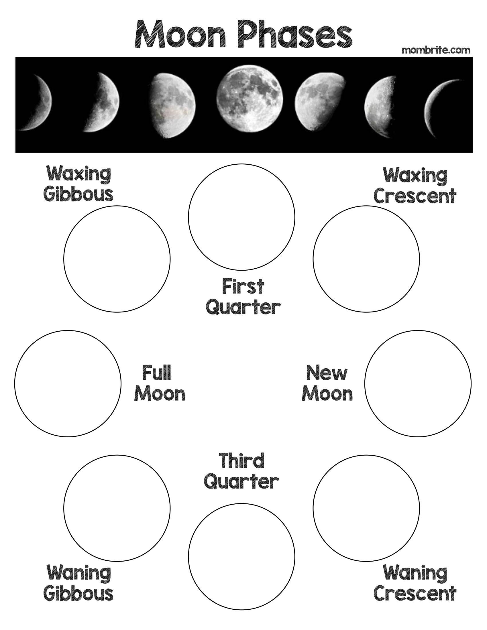 Oreo Cookie Moon Phases Activity [Free Worksheet]  Mombrite Regarding Moon Phases Worksheet Answers