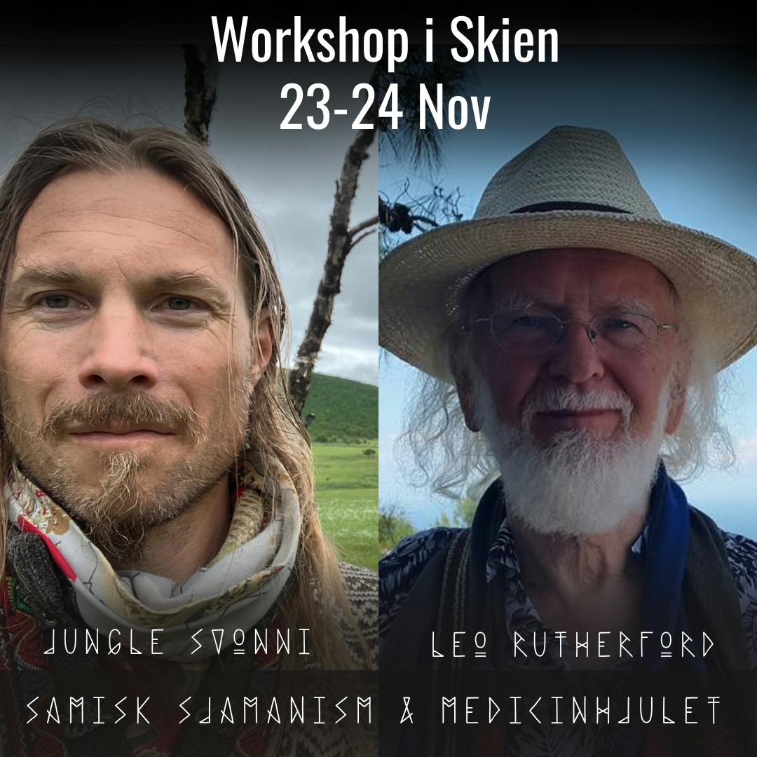 Workshop with Jungle and Leo in Skien in November