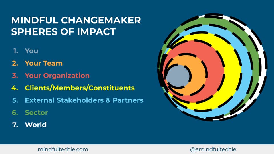 Mindful Changemaker Spheres of Impact: Ripples through You, Your Team, Your Organization, Clients/Members/Constituents, External Stakeholders & Partners, Sector, World