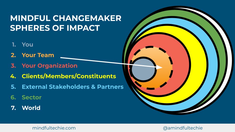 Mindful Changemaker Spheres of Impact: Ripples through You, Your Team, Your Organization, Clients/Members/Constituents, External Stakeholders & Partners, Sector, World