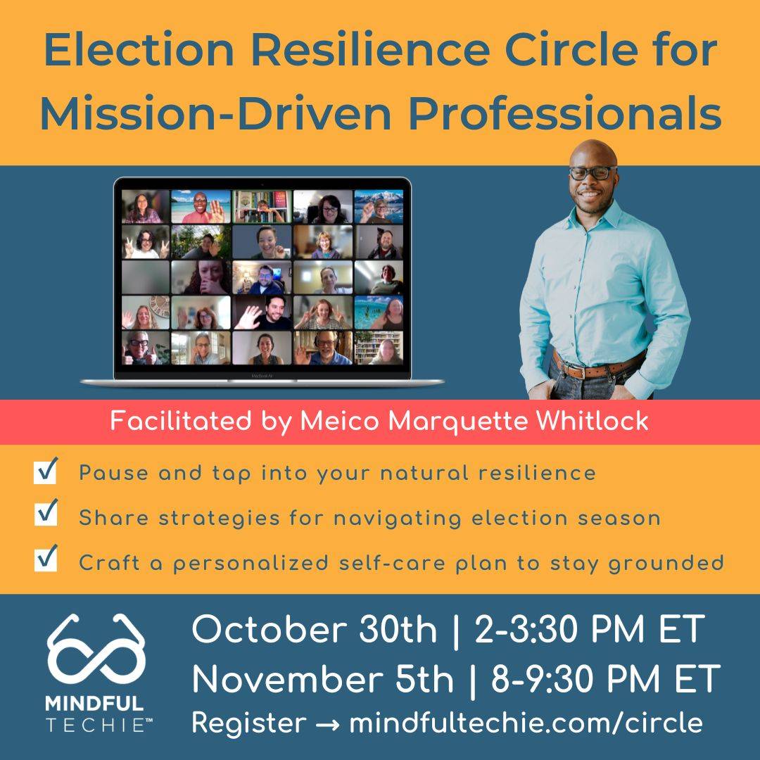 Banner: Election Resilience Circle for Mission-Driven Professionals 