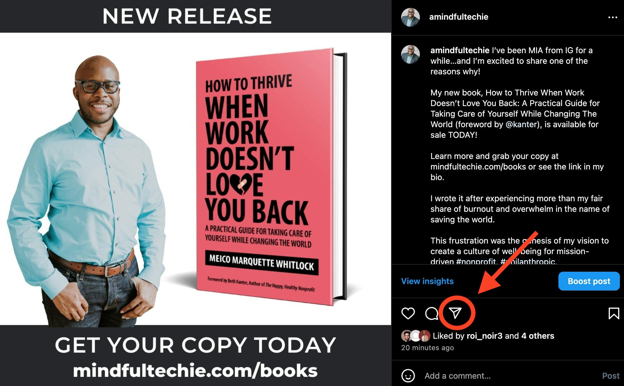 Instagram post of How to Thrive When Work Doesn't Love You Back book
