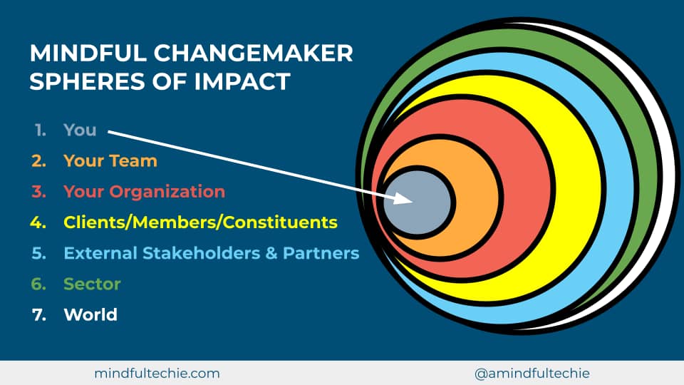 Mindful Changemaker Spheres of Impact: You, Your Team, Your Organization, Clients/Members/Constituents, External Stakeholders & Partners, Sector, World