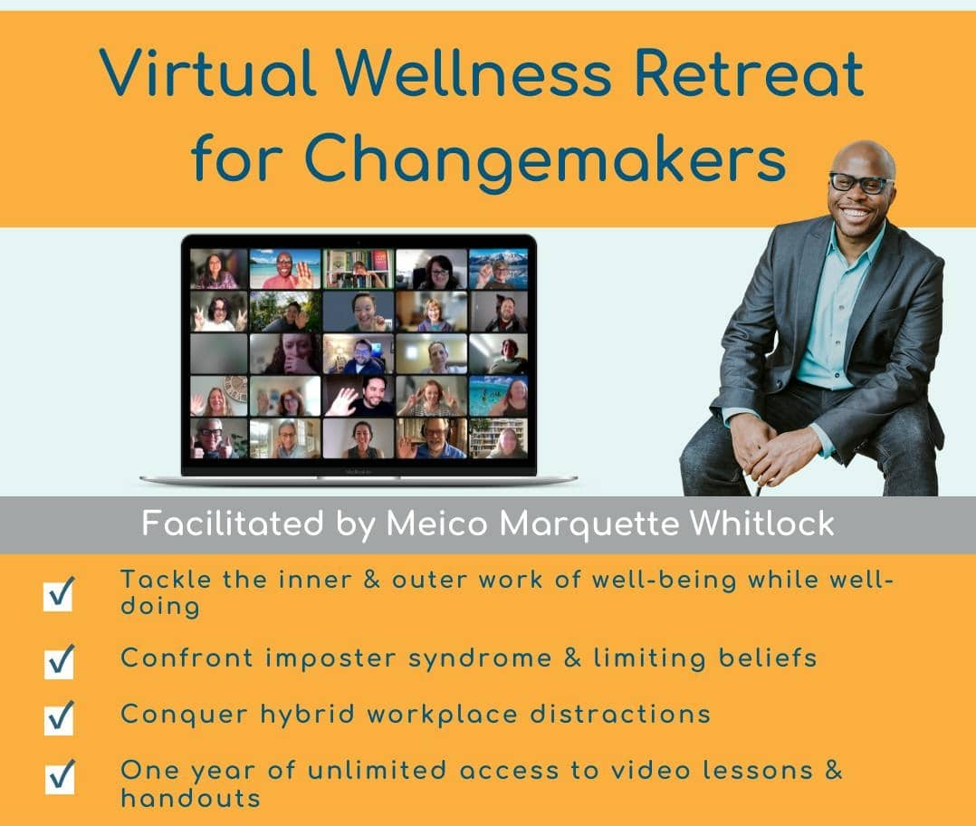 Promo image of Virtual Wellness Retreat for Changemakers