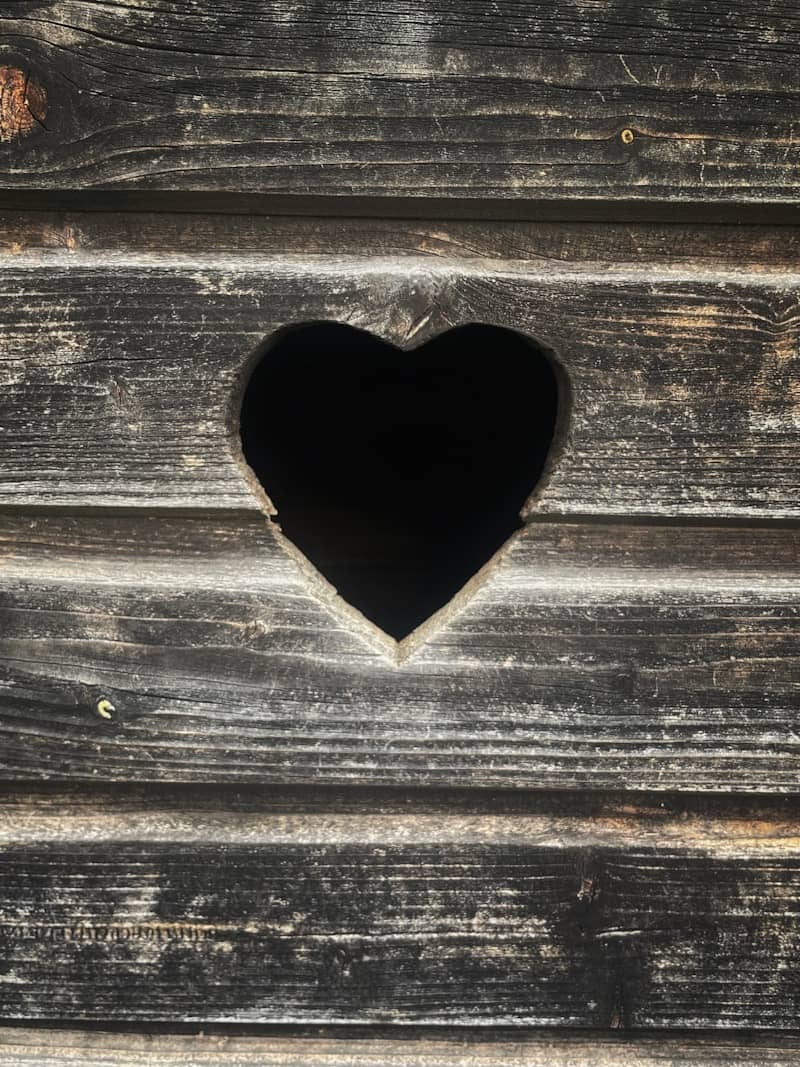 Wooden door with a heart-shaped hole.