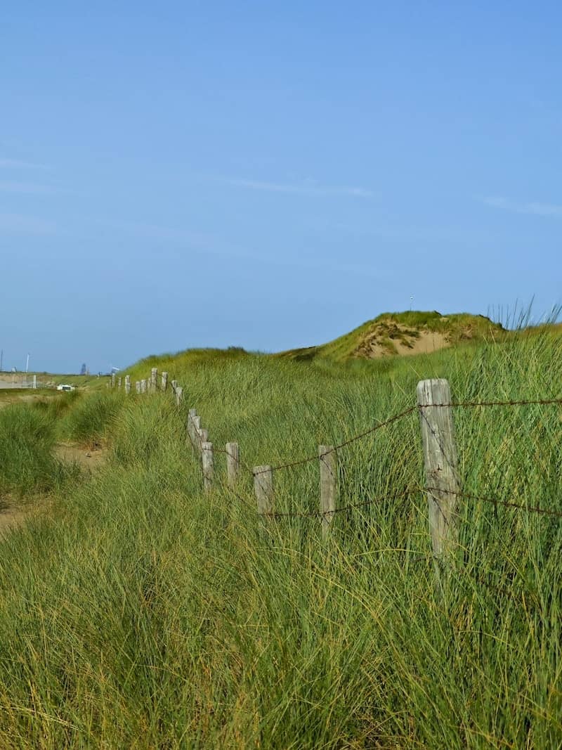 A grassy field with a fence and a grassy hill in the background