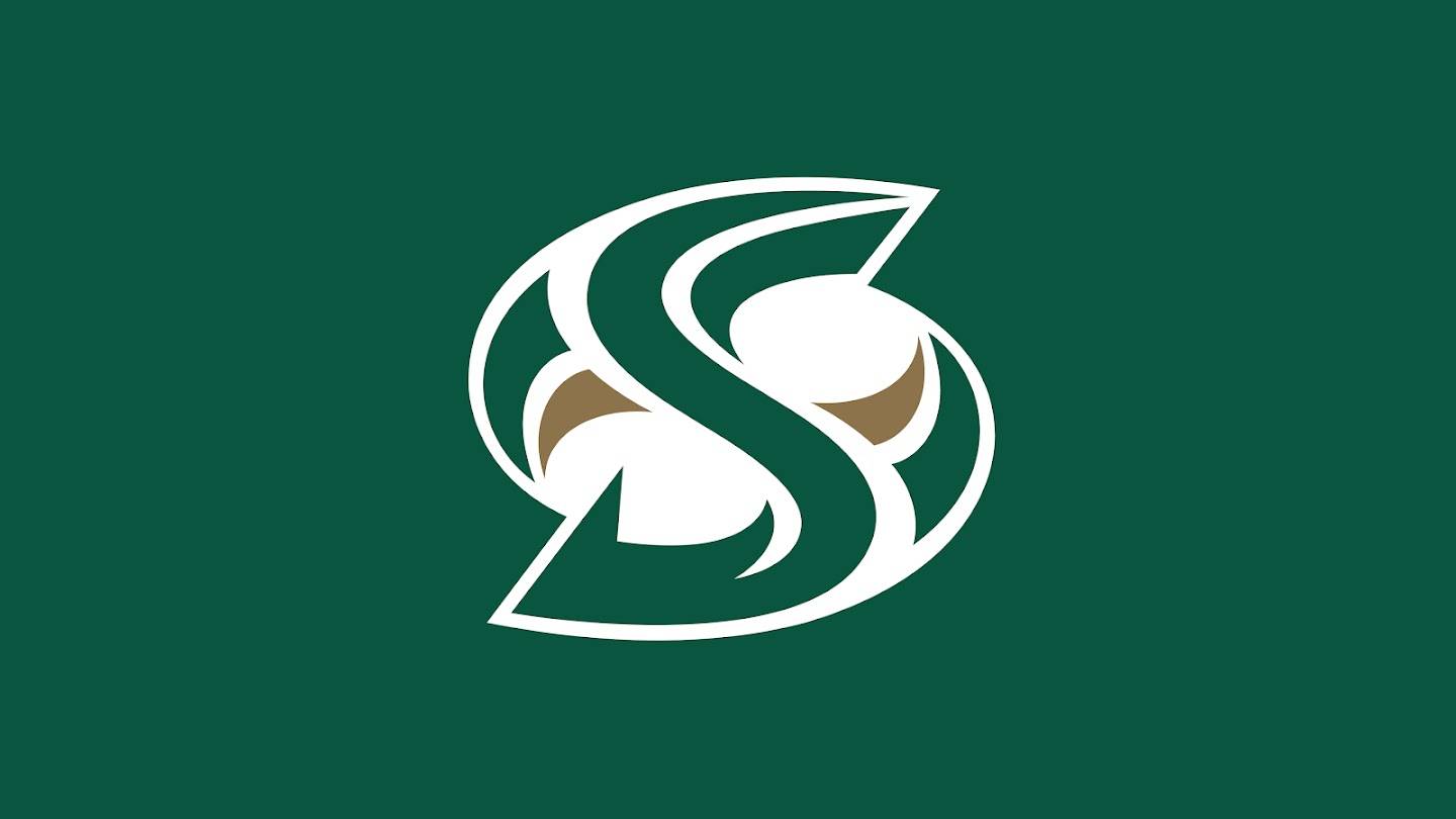 A Sacramento State Hornets logo (YouTube).